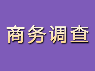 侯马商务调查